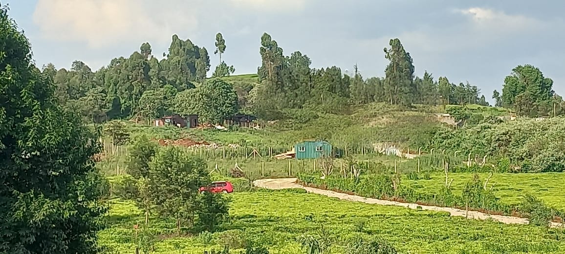 img-property